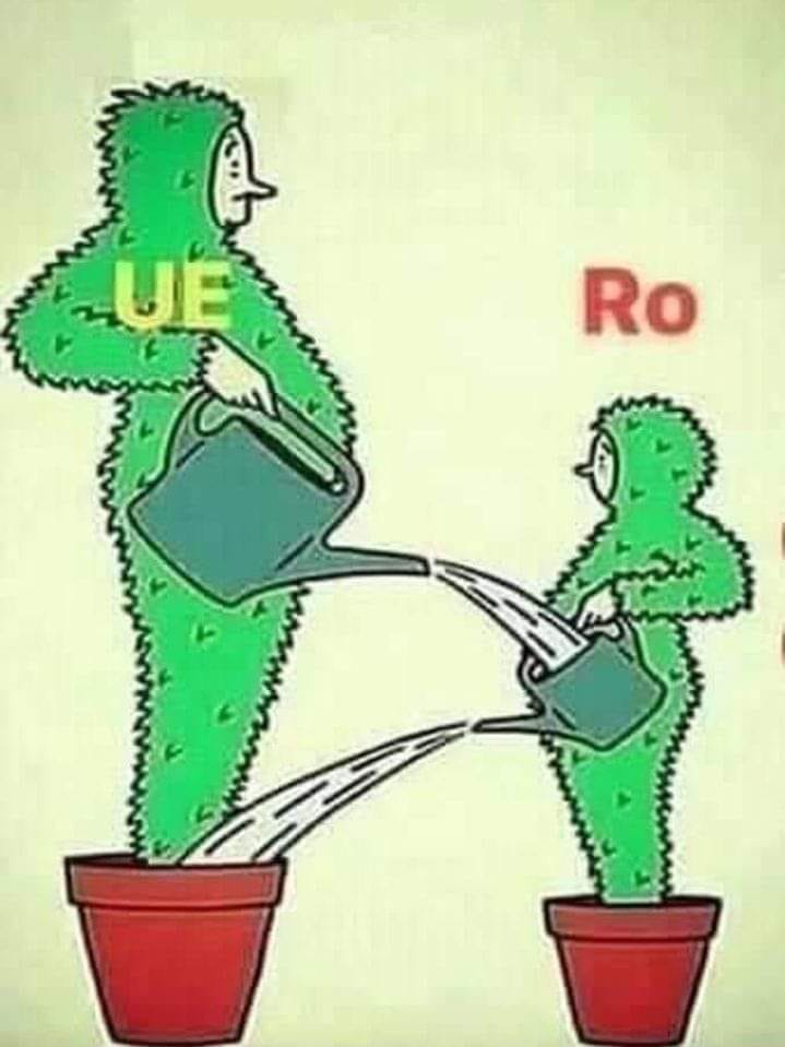 UE vs RO